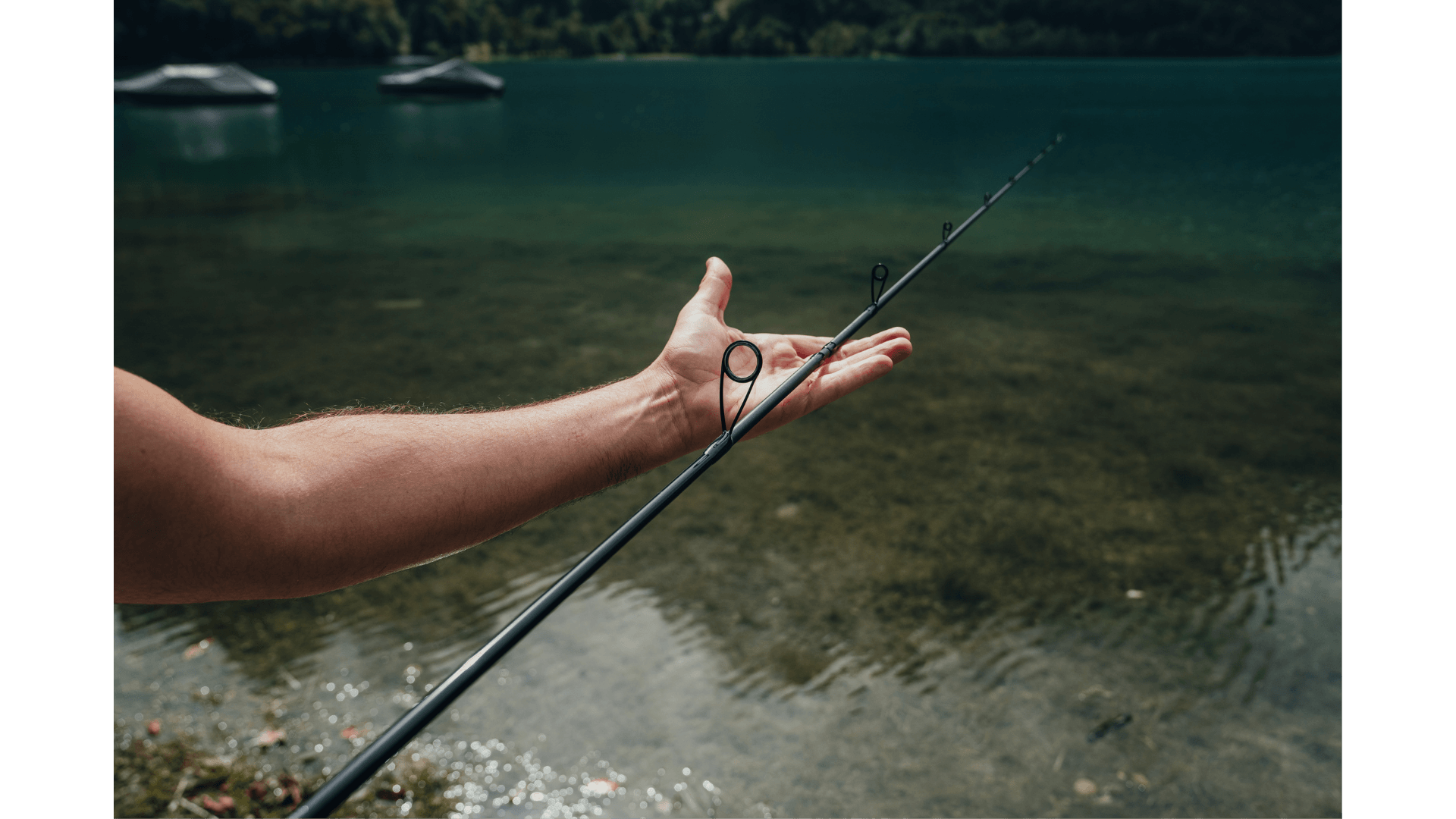 Bass Fishing: The Complete Guide to Catch More Bass