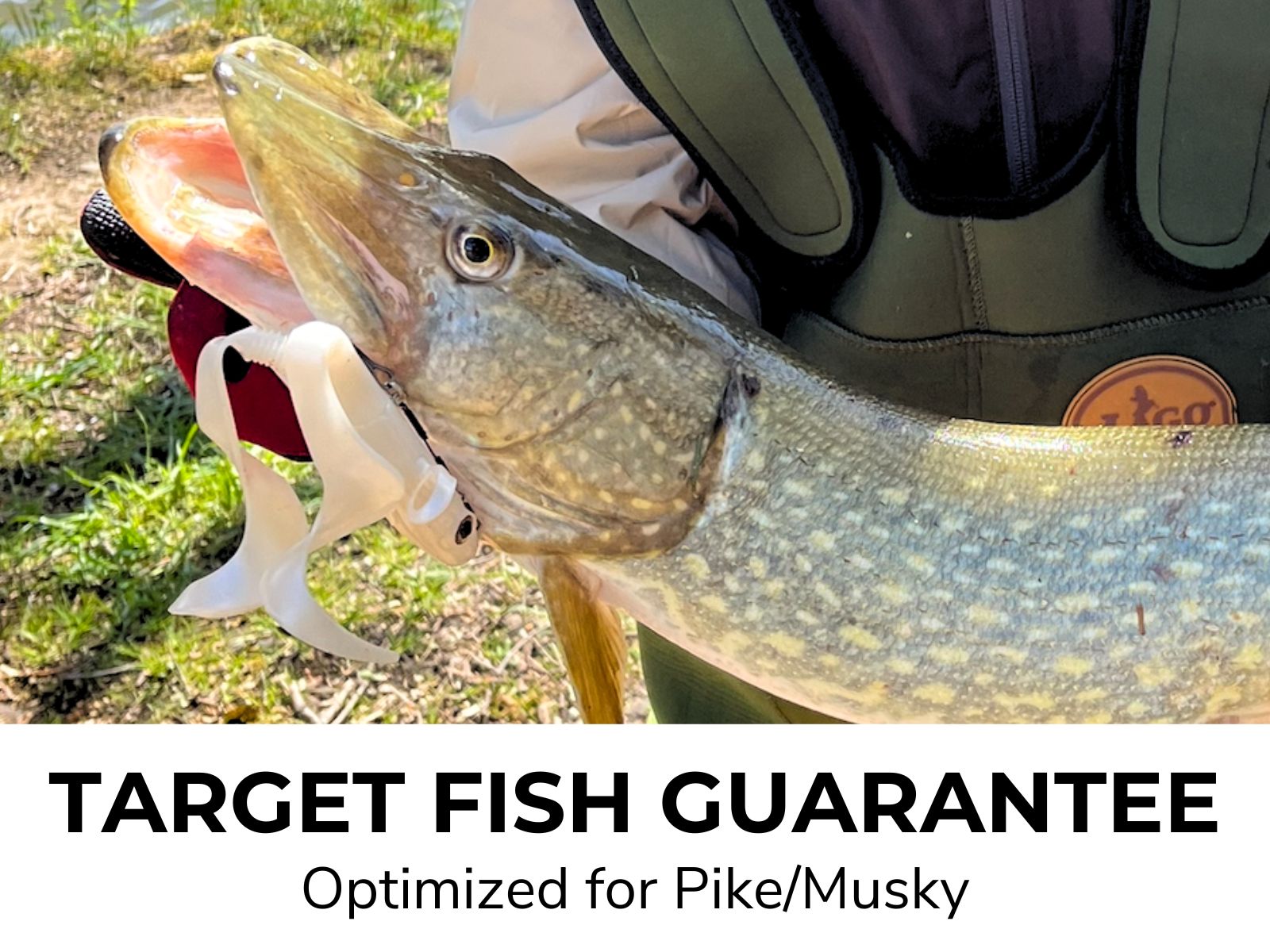 PIKE GO KIT - All in One Pike Fishing Combo