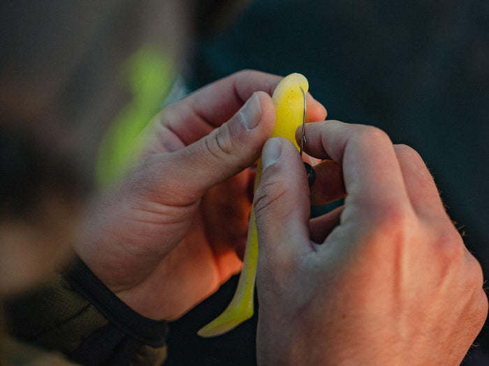 When to Use Texas Rig vs Jig (Simple Bass Guide)